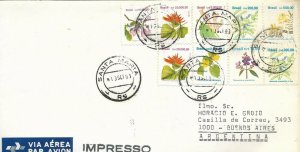 BRAZIL 1993 FLOWERS  SET  9 VALUES ON POSTED COVER FROM BRASIL TO ARGENTINA