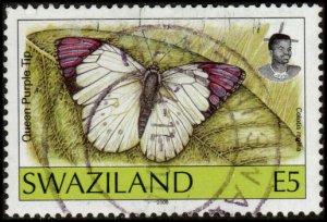 Swaziland 612 - Used - 5e Queen Purple Tip Butterfly (2000) (cv $7.00)