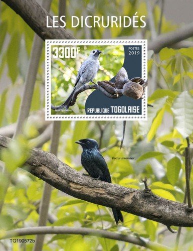 TOGO - 2019 - Birds : Drongos - Perf Souv Sheet - M N H