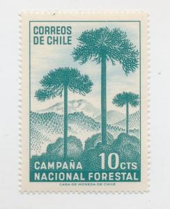  Chile 1967 Scott 363  MH - 10c, reforestation campaign