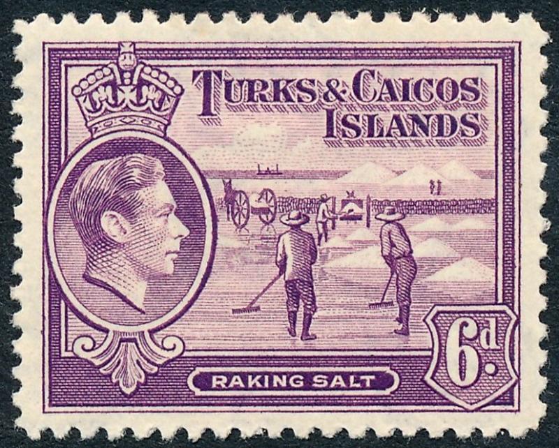 Turks & Caicos Islands 1938 6d Mauve SG201 MVLH