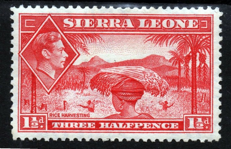 SIERRA LEONE King George VI 1938-44 1½d. Scarlet Wmk Mult Script CA  SG 190 MINT