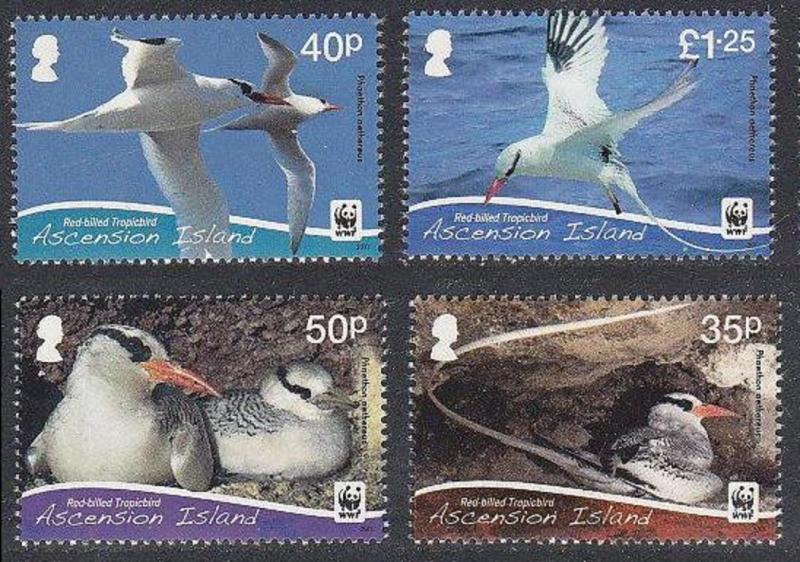 Ascension WWF Red-billed Tropicbird 4v Without white border 2011 MNH