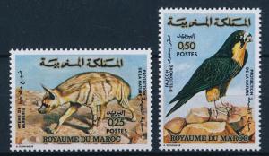 [64344] Morocco 1973 Bird Falcon Hyena  MLH