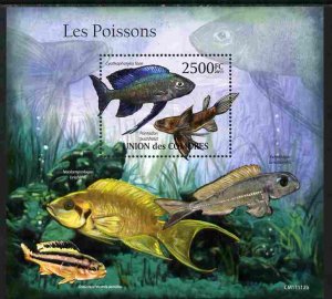 COMORO ISLANDS - 2011 - Fishes - Perf Souv Sheet - MNH - Private Issue