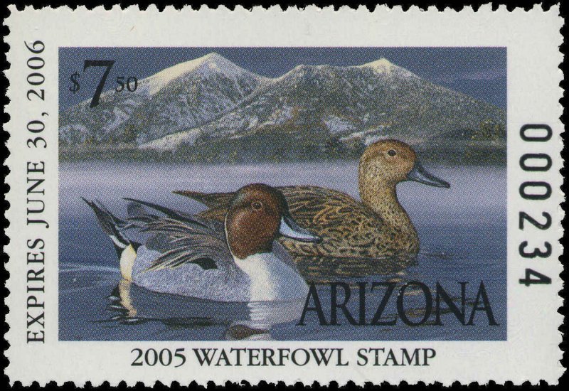 ARIZONA #19 2005 STATE DUCK NORTHERN PINTAILS  by Tom Finley