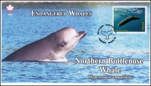 CA22-038, 2022, Endangered Whales, First Day of Issue, Pictorial Postmark, North