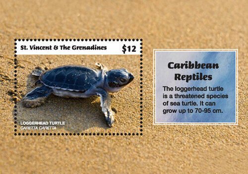 St. Vincent 2018 - Caribbean Reptiles, Loggerhead Turtle - Souvenir Sheet - MNH