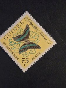 +Guinea #304         MNH