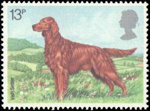 Great Britain #851-854, Complete Set(4), 1979, Dogs, Never Hinged