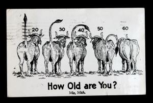 US #806 on Vintage Humor Post Card 1954 How Old Are You?