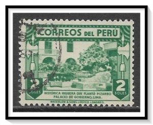 Peru #382 Historic Fig Tree Used