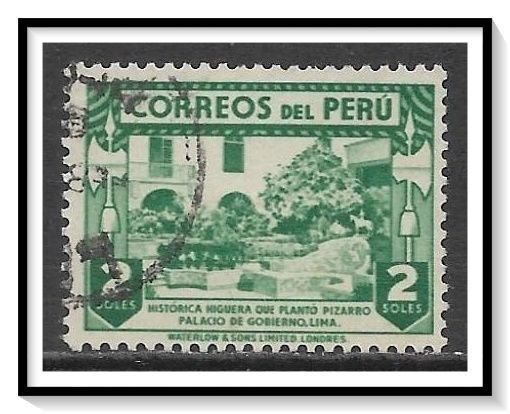 Peru #382 Historic Fig Tree Used