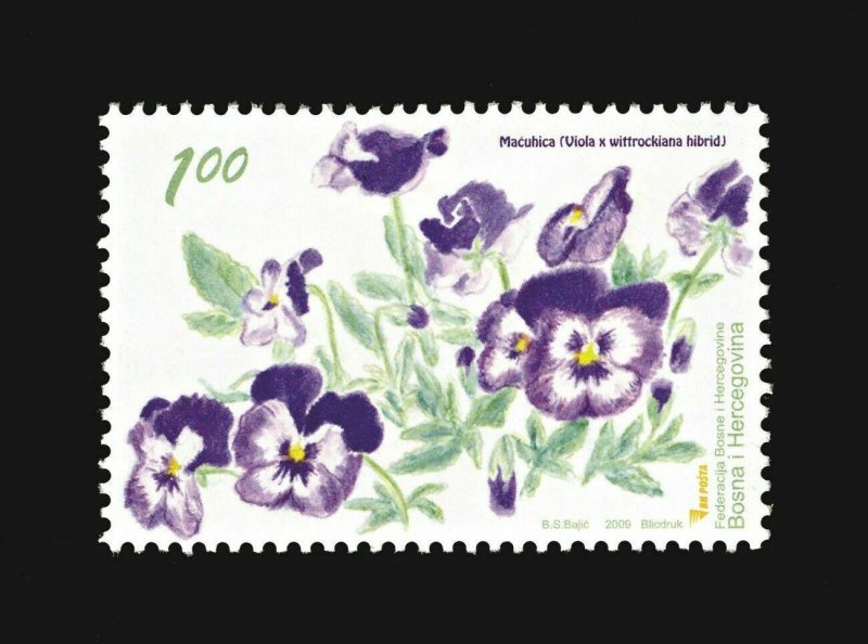 BOSNIA&HERZEGOVINA/2009, FLORA - Pansy (Viola x wittrockiana hybrid), MNH