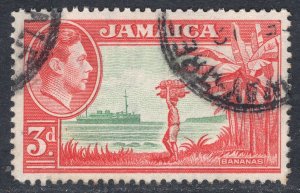 JAMAICA SCOTT 152