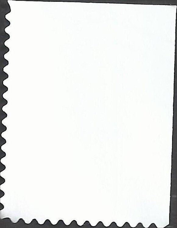 # 3998 USED WEDDING DOVES