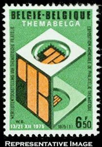 Belgium Scott 912 Mint never hinged.