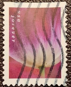 US Scott # 5781; used (63c) Tulips from 2023; VF centering; off paper