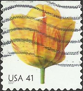 # 4185 USED TULIP