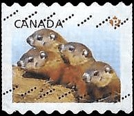 CANADA   #2604 USED (2)