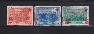 Montenegro NSL MNH Overprints (D)