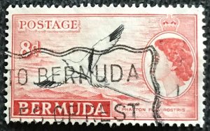 Bermuda #153 Used Single Yellow Billed Tropic Bird L31