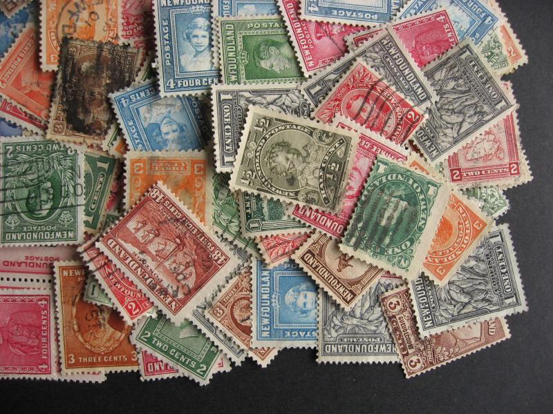 NEWFOUNDLAND 100 wee older mixture (duplicates,mixed condition)