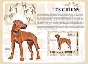 COMORES 2009 SHEET DOGS LES CHIENS PERROS HUNDEN CANI CAES cm9108b