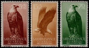 ✔️ SPANISH COLONIES SAHARA 1957 - EAGLES - MI.170/172 SC. 87,B41/B4 MNH ** €3.80