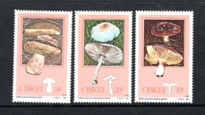 SOUTH AFRICA -CISKEI Mushrooms SCV $3.20