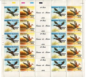 Mexico 1346-1347 sheet, MNH. Michel 1893-1894 bogen. Aquatic birds 1984. Cairina