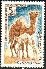 Camel, Dromedaries, Mauritania stamp SC#138 MNH