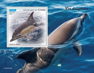 Chad - 2023 Dolphins, Short-beaked Common - Stamp Souvenir Sheet - TCH230108b