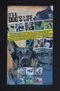 GB PRESENTATION PACK #408,SG2806-2811 MNH 2008 WORKING DOGS