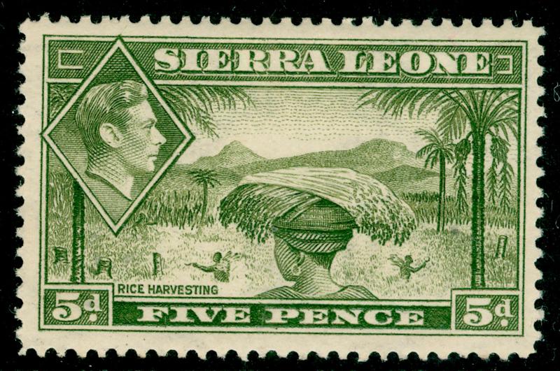 SIERRA LEONE SG194, 5d olive-green, LH MINT.