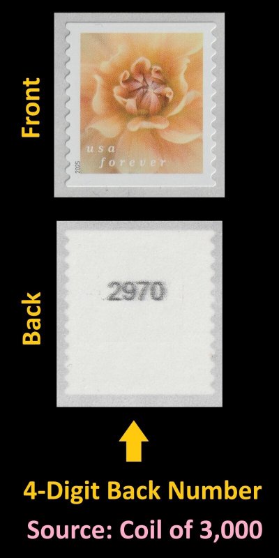 US 5982 Dahlias #1 F coil single 4d back # MNH 2025