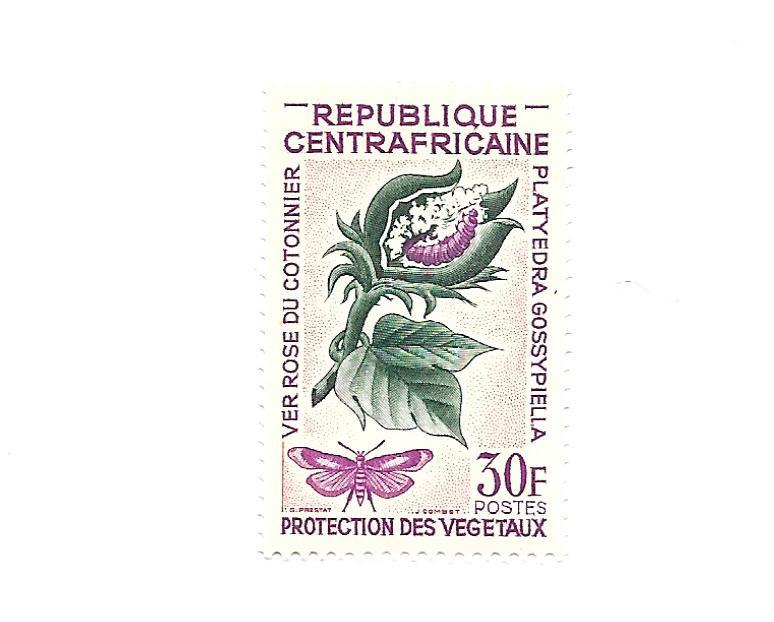 Central African Republic 1965 - M - Scott #55 *
