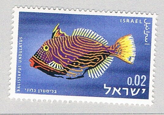 Israel  MNH Trigger Fish  (BP83419)