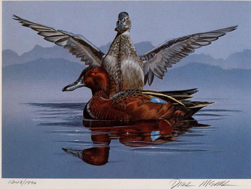 NEVADA #2 1980 STATE DUCK STAMP PRINT CINNAMON TEAL by Dick McRill List $275