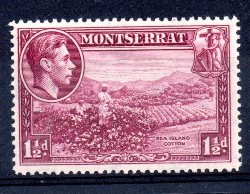 Montserrat 1938 KGVI 1 1/2d SG103 P13 mint LHM WS11502