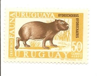 Uruguay C363 MNH