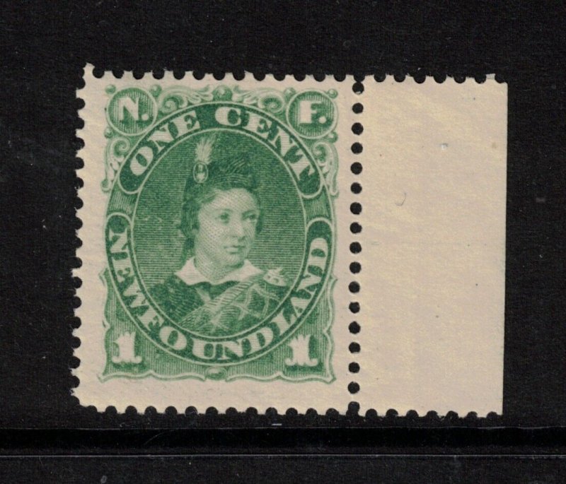 Newfoundland #45 Mint Fine - Very Fine Never Hinged Margin Copy