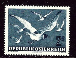 Austria C56 MH 1950 issue    (ap5748)