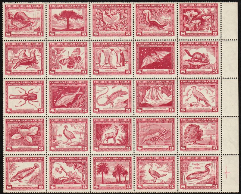 ✔️ CHILE 1948 - FAUNA CLAUDIO GAY SHEETS - SC. 254/255 C124 ** MNH  LUXE 220$