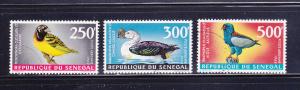 Senegal C55-C57 U Birds