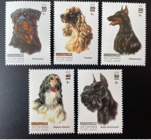 Afghanistan 2003 Wildlife Fauna Animals Animals Dogs Chiens Dogs 5 Val.-