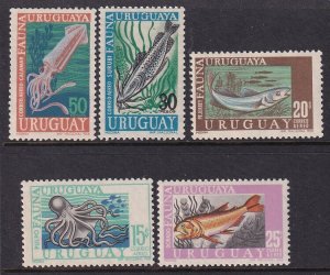 Uruguay C335-C339 Marine Life MNH VF