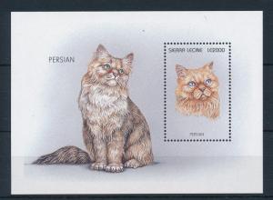 [28445] Sierra Leone 1996 Animals Cat Persian MNH Sheet
