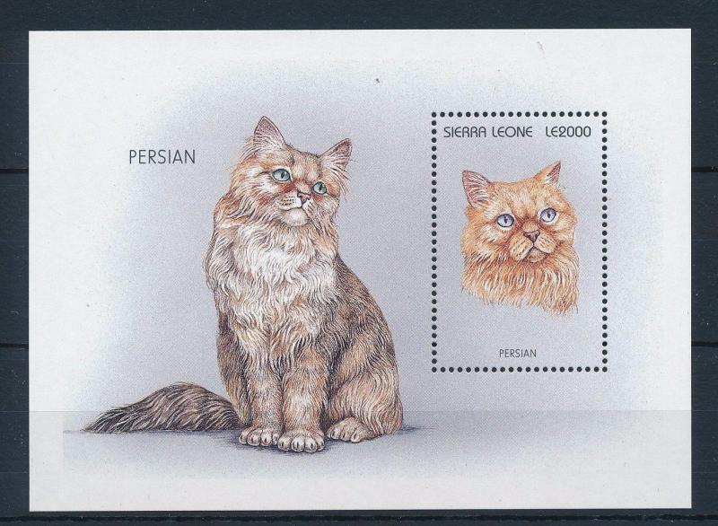 [28445] Sierra Leone 1996 Animals Cat Persian MNH Sheet