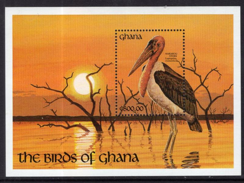 Ghana 1346 Birds Souvenir Sheet MNH VF